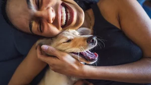 Understanding pet end-of-life ethics