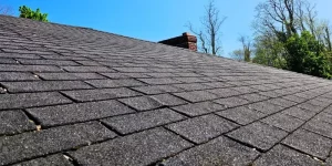 asphalt shingle roofing basics